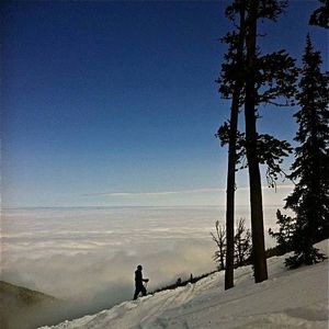 Meet your Posher, Sean